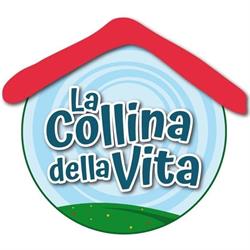 La collina della vita, Fabriano orari di apertura