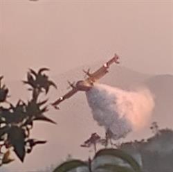 Volontari Protezione Civile & AIB Ceriale, orari di apertura