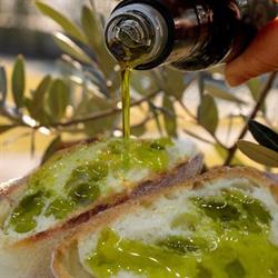 Terre di Calabria-Azienda Agricola Biologica Macrina, Gasperina orari di apertura