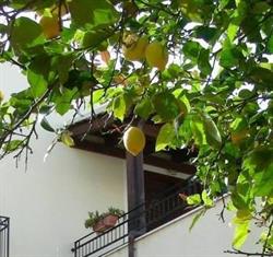 Il Limone Residence, San Vito Lo Capo orari di apertura