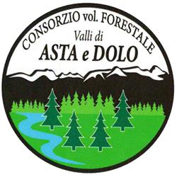Consorzio Volontario Forestale Valli d'Asta e Dolo, Villa Minozzo orari di apertura