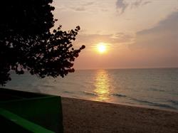 Italy Rental Villa - the best of Amalfi coast, Ancona orari di apertura
