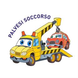 PALVESI SOCCORSO SRL, Campegine orari di apertura