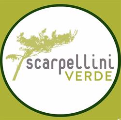 Scarpellini Verde, Cesena orari di apertura