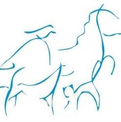 Centro Medico Veterinario BMVet, Bari orari di apertura