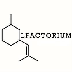 Olfactorium Profumeria di Nicchia, Vigevano orari di apertura