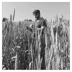Azienda agricola biologica Giacomo Giannelli, Dovadola orari di apertura