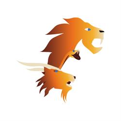 CHIMERA CARTA Srl, Arezzo orari di apertura