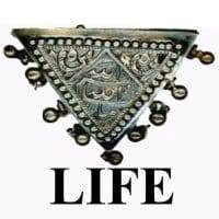 Life, Ravenna orari di apertura