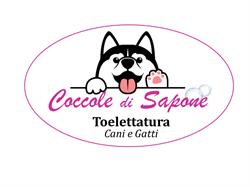 coccole di sapone, Viterbo orari di apertura