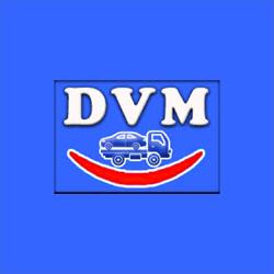 DVM AUTODEMOLIZIONI, Gallicano nel Lazio orari di apertura