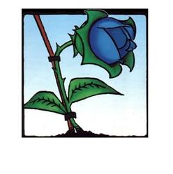 Associazione ONLUS “LA ROSA BLU”, Santo Stino di Livenza orari di apertura