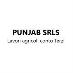 Punjab srls, Borgonovo Val Tidone orari di apertura