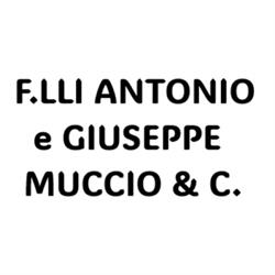 F.lli Antonio e Giuseppe Muccio & C., Matera orari di apertura
