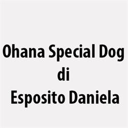 Ohana Special Dog di Esposito Daniela, Levate orari di apertura