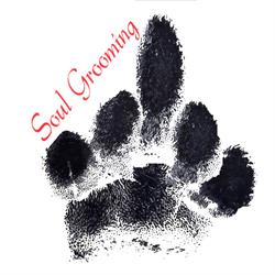 Soul Grooming, Rivoli orari di apertura