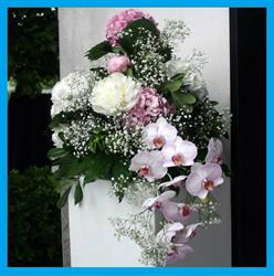 Il fiore dei fiori, Somma Vesuviana orari di apertura