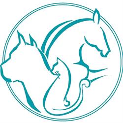 Ambulatorio Veterinario Il Colle Perugia, San Martino In Colle - Orari di apertura