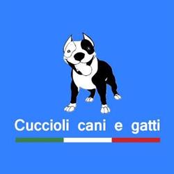 Cuccioli cani & gatti, Vignate orari di apertura