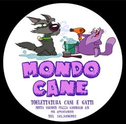 Mondo Cane, Motta Visconti orari di apertura