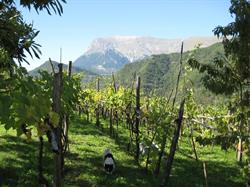 Agriturismo Casavecchia dei Sibillini, Montegallo orari di apertura