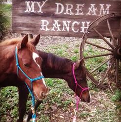 MY DREAM RANCH ASD, Ceranesi orari di apertura