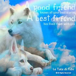 Le Tate di Fido, Besana in Brianza orari di apertura