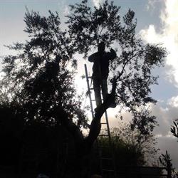 Azienda agricola montedonico, Lamporecchio orari di apertura