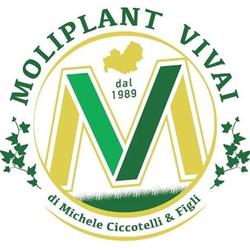 Moliplant Vivai, Ferrazzano orari di apertura