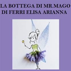 La Bottega Di Mister Mago di Ferri Elisa Arianna, Ostellato orari di apertura