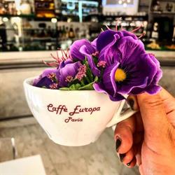 Caffè Europa, Pavia orari di apertura