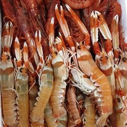 Pescheria Alto mare, Adelfia orari di apertura