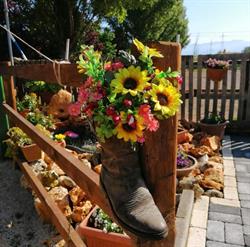 ASD Cavalieri di Pratolungo, San Cesareo orari di apertura