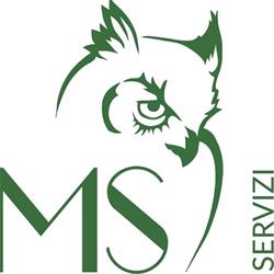 MS Servizi srl, Pianiga orari di apertura