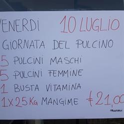 NaturaViva, Notaresco orari di apertura