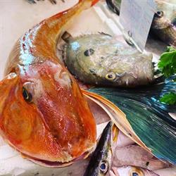 Pescheria Sant’Anna snc, Orbetello orari di apertura