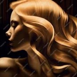Golden Hair di Francesca, Molinella orari di apertura
