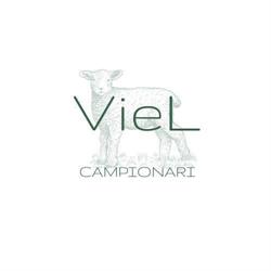 VieL Campionari, Gaglianico orari di apertura