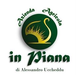 Azienda Agricola In Piana, Castelnuovo di Val di Cecina orari di apertura