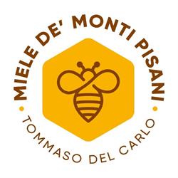 Miele de' Monti Pisani, San Giuliano Terme orari di apertura