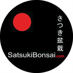Satsuki Bonsai di Francesco Morra, Genova orari di apertura
