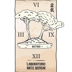 Laboratorio Arte Bonsai Buttrio, orari di apertura