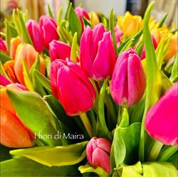 I fiori di Maira, Nettuno orari di apertura
