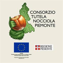 Consorzio Tutela Nocciola Piemonte IGP Castagnito, Baraccone - Orari di apertura