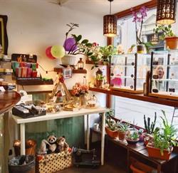 Le Sorelle Bistrot, Torino orari di apertura