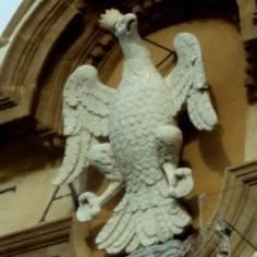 Museo della Piazzaforte Augusta, orari di apertura