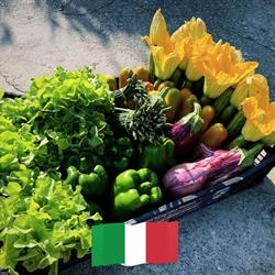 Azienda Agricola GEA di Giannotti Alessio, Massarosa orari di apertura