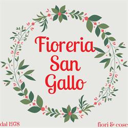 Fioreria San Gallo, Sernaglia della Battaglia orari di apertura