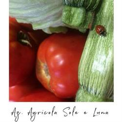 Az. Agricola Sole e Luna, Pomezia orari di apertura