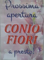 Conio Fiori, Pescara orari di apertura